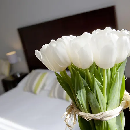 阿克罗波利斯驿站酒店