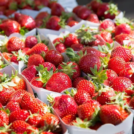 Hotel Relais Acropolis