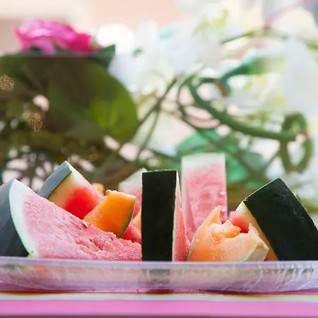 阿克罗波利斯驿站酒店 尼斯