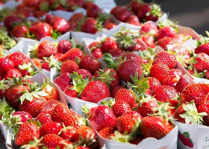 Hotel Relais Acropolis